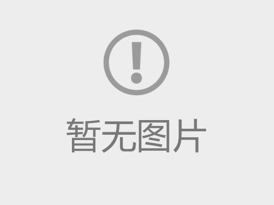 上海国际汽车城（集团）有限公司2024年度薪酬公示